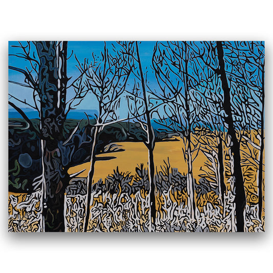 BIG HORN LOOKOUT Fine Art Rolled Canvas Print