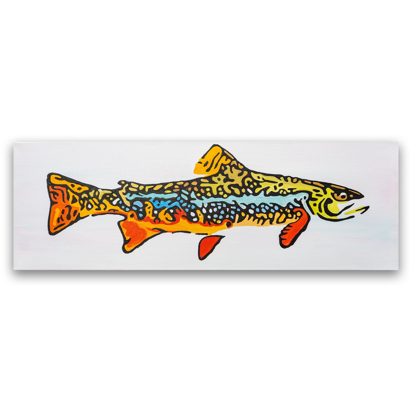 Brook Trout "Brookie"