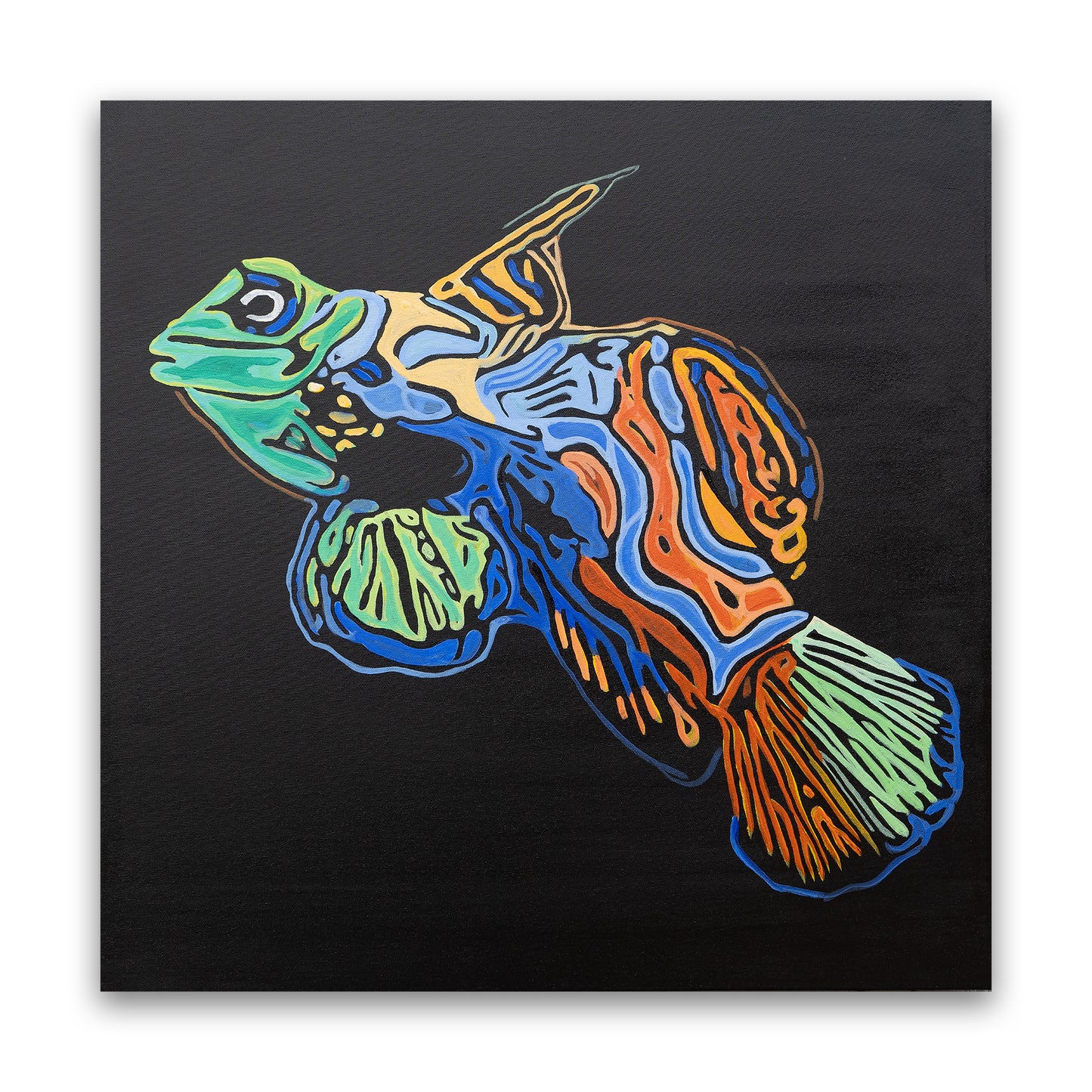 Mandarin Fish "Splendidus"